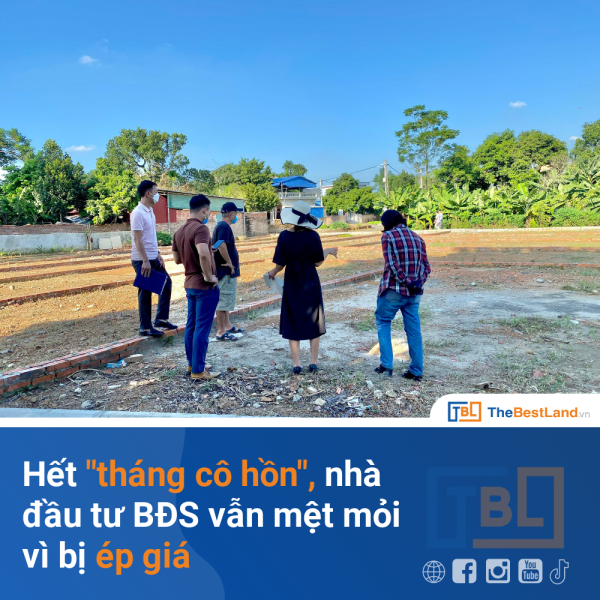 het-thang-co-hon-nha-dau-tu-bat-dong-san-van-bi-ep-gia